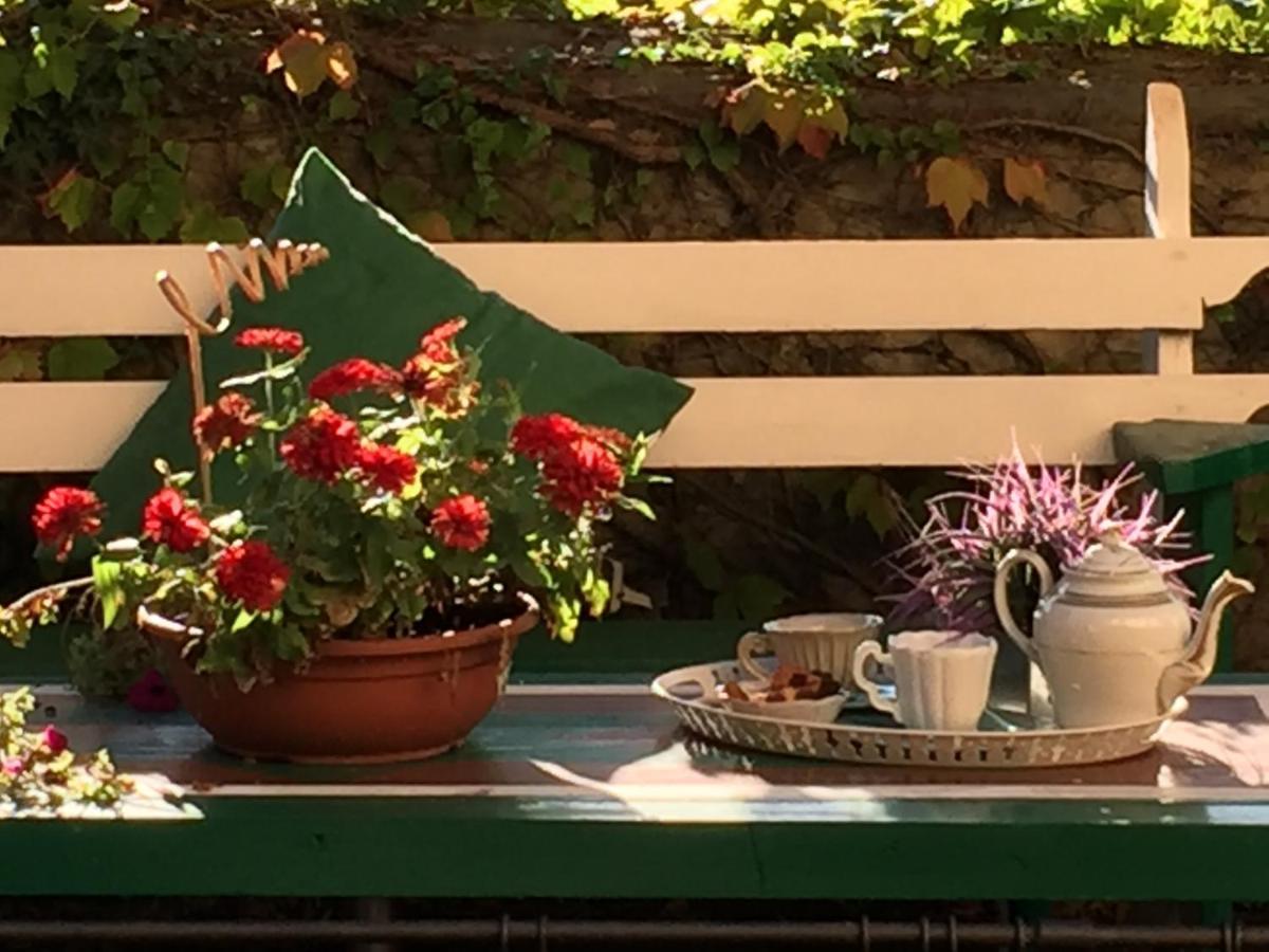 Il Sole Del Sodo Guest House Cortona Luaran gambar