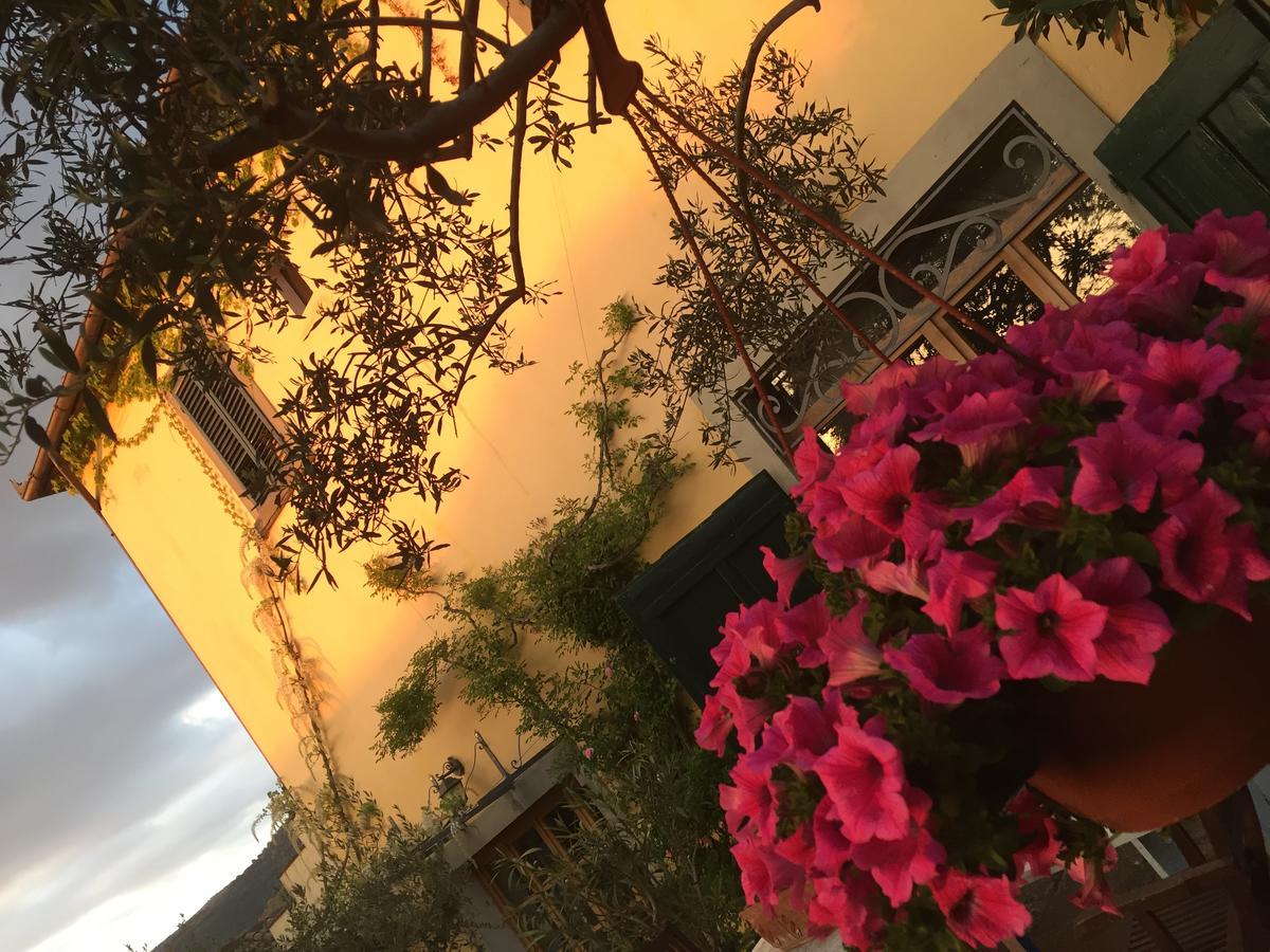 Il Sole Del Sodo Guest House Cortona Luaran gambar
