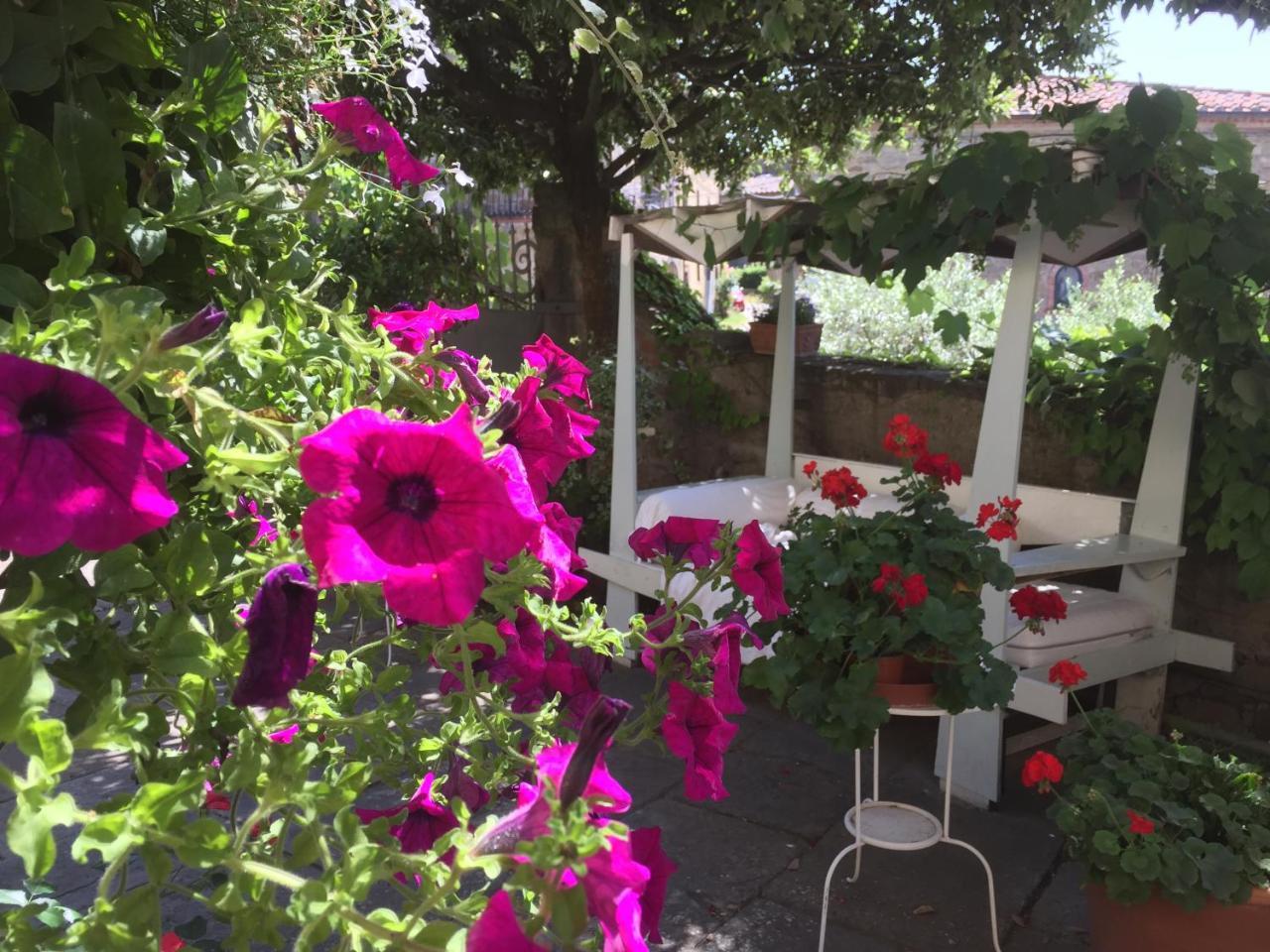 Il Sole Del Sodo Guest House Cortona Luaran gambar