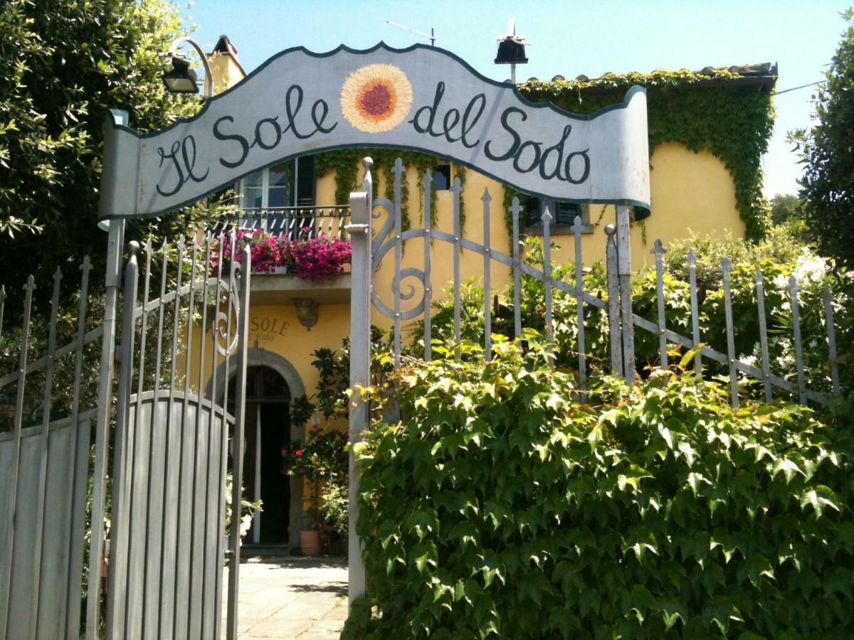 Il Sole Del Sodo Guest House Cortona Luaran gambar